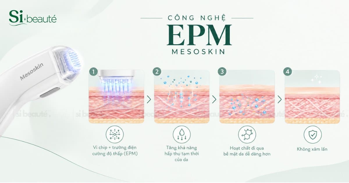 Cơ chế hoạt động của máy Mesoskin?